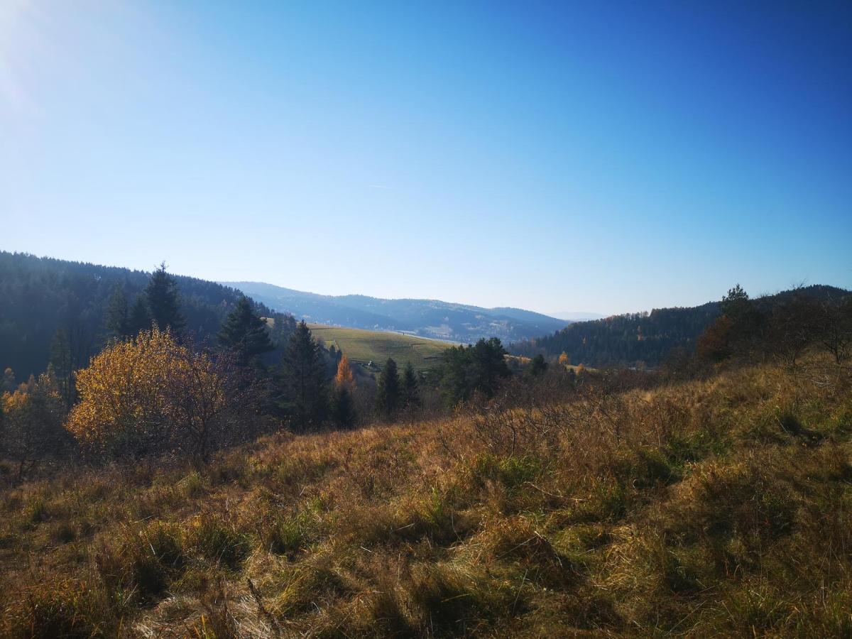 Apartamenty U Janka Krynica-Zdrój Exteriör bild