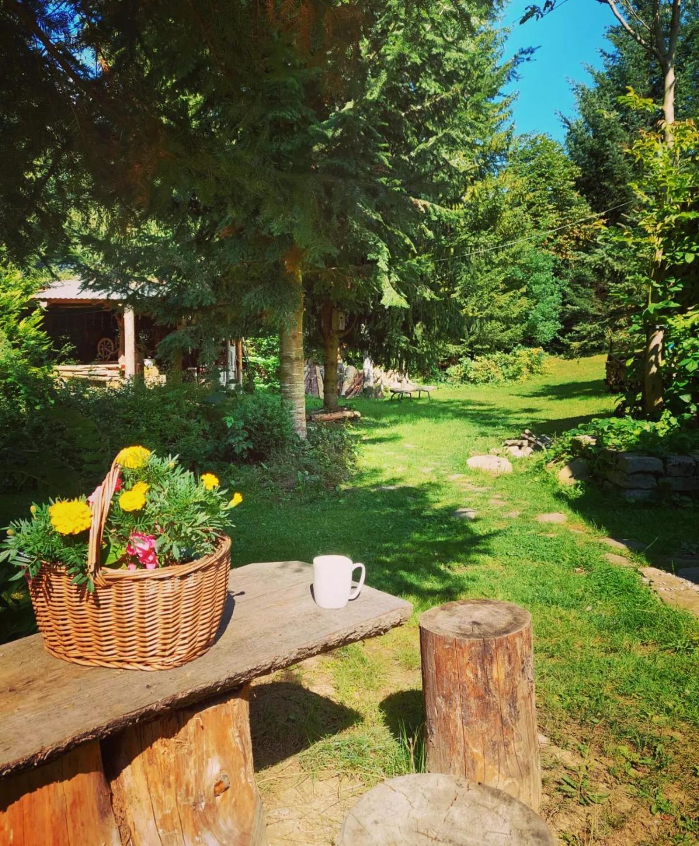 Apartamenty U Janka Krynica-Zdrój Exteriör bild